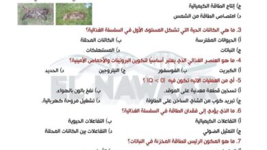 اسئله علوم متكامله على الباب الاول للصف الاول الثانوي الترم الثاني 2025 pdf