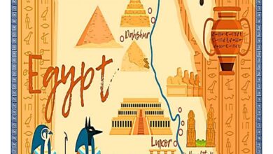 دفتر تحضير دراسات اجتماعية للصف الرابع الابتدائي الترم الأول 2026