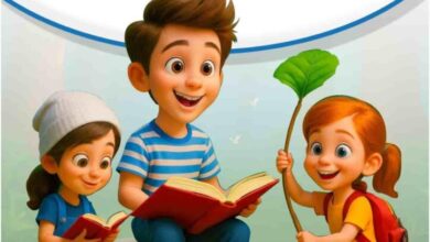 كتاب الوزارة الجديد انجليزي للصف السادس الابتدائي الترم الاول 2026